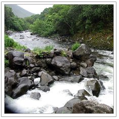 West Virginia Fishing, Fishing WV, WV Trout Fishing, WV Fishing